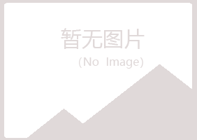 钦州钦南女孩会计有限公司